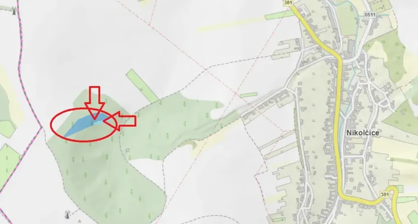 Prodej podílu lesa, Nikolčice, 3584 m2