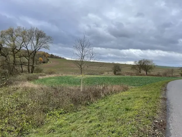 Prodej pole, Děkov, 9305 m2