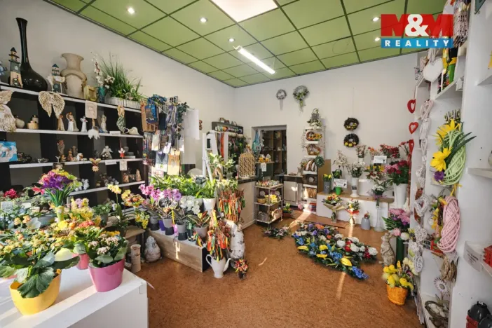 Pronájem obchodního prostoru, Ostrava - Moravská Ostrava, Nádražní, 35 m2