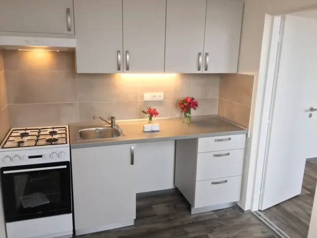 Pronájem bytu 1+1, Ostrava - Zábřeh, Horymírova, 33 m2