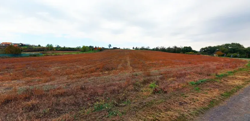 Prodej pozemku pro bydlení, Zruč nad Sázavou, 5369 m2