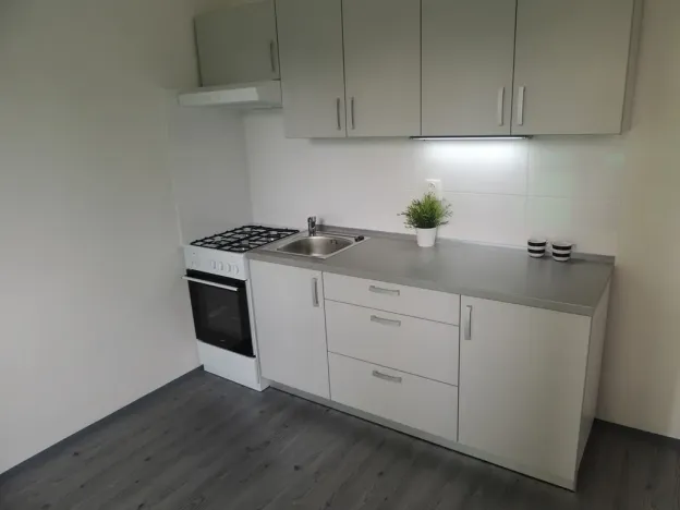 Pronájem bytu 1+1, Ostrava - Mariánské Hory, Gen. Hrušky, 38 m2