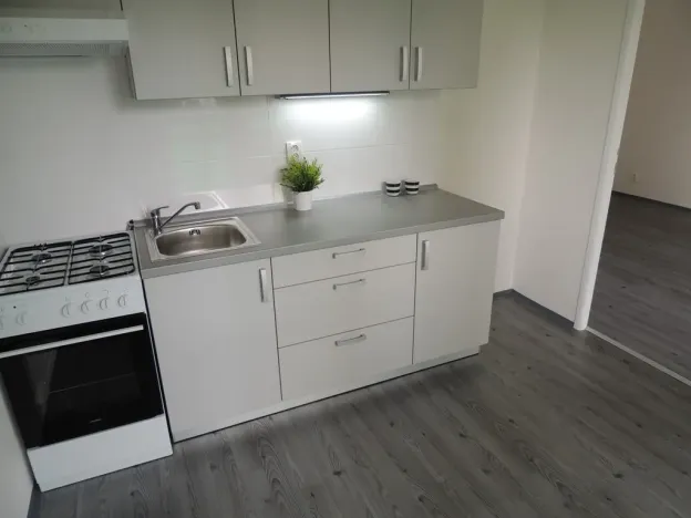 Pronájem bytu 1+1, Ostrava - Mariánské Hory, Gen. Hrušky, 38 m2