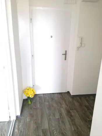 Pronájem bytu 1+1, Ostrava - Výškovice, Lužická, 39 m2