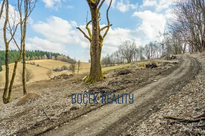 Prodej komerčního pozemku, Žacléř, 34107 m2