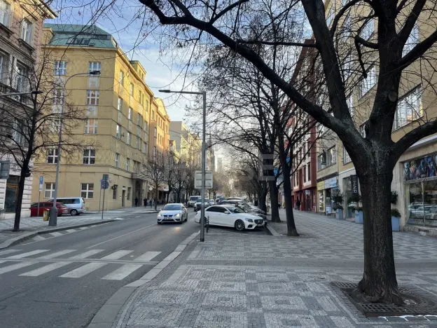 Prodej bytu 4+1, Praha - Vinohrady, Londýnská, 141 m2