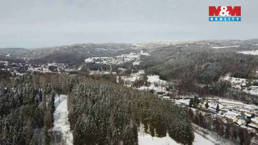 Prodej komerční nemovitosti, Plavy, 180 m2