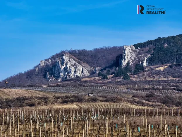 Prodej pozemku pro bydlení, Dolní Věstonice, V Zahradách, 431 m2