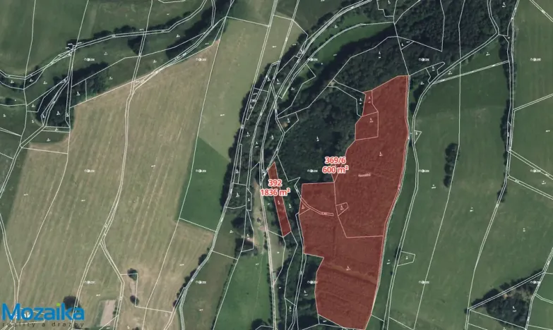 Prodej lesa, Horní Heřmanice, 51563 m2