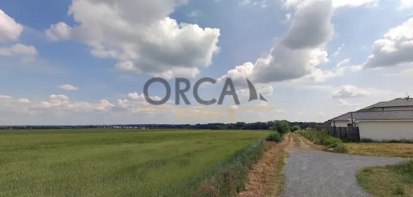 Prodej pole, Sluštice, 4969 m2