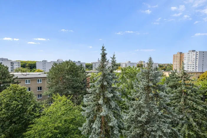 Prodej bytu 4+kk, Praha - Žižkov, Pod lipami, 75 m2