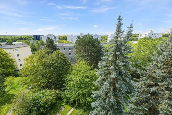 Prodej bytu 4+kk, Praha - Žižkov, Pod lipami, 75 m2