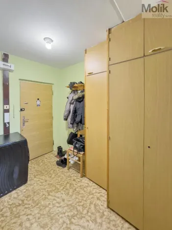 Prodej bytu 2+kk, Most, Františka Malíka, 39 m2