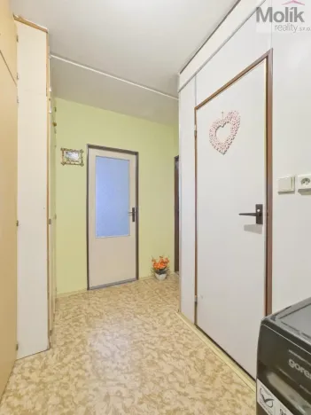 Prodej bytu 2+kk, Most, Františka Malíka, 39 m2