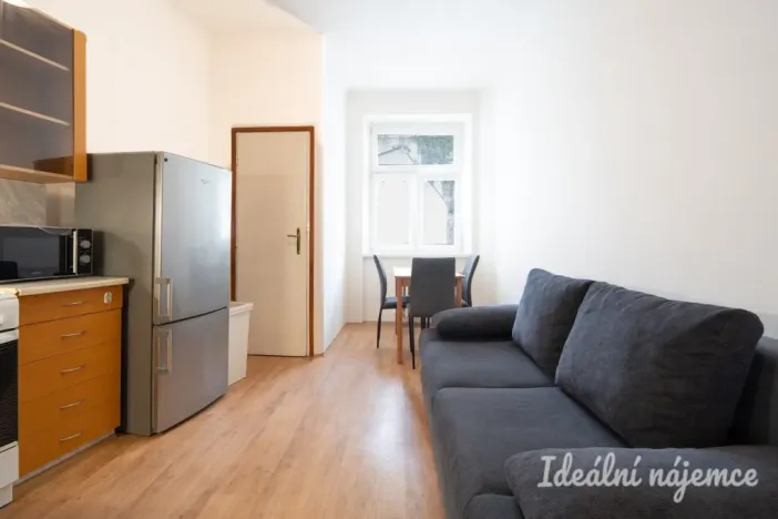 Pronájem bytu 1+1, Brno, Pekařská, 48 m2