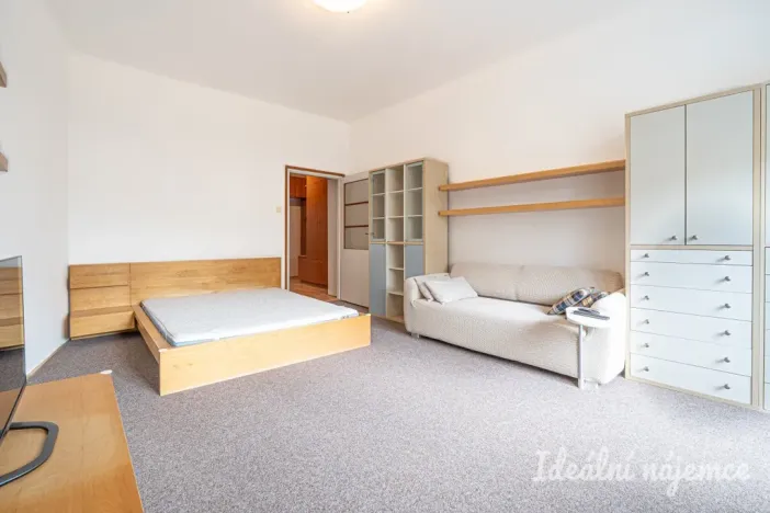 Pronájem bytu 1+1, Brno, Pekařská, 48 m2