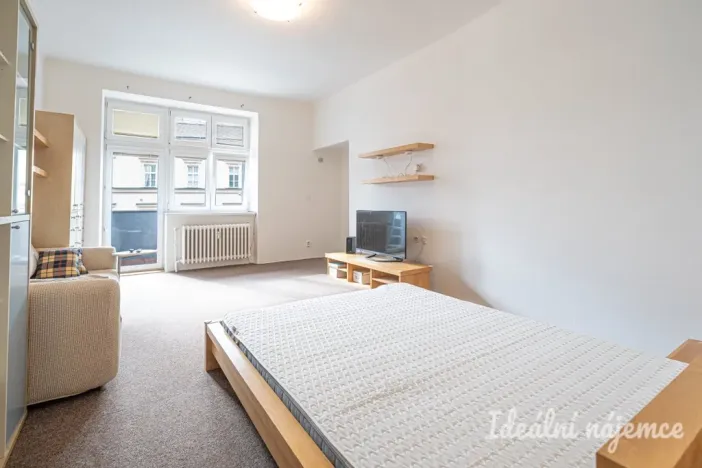 Pronájem bytu 1+1, Brno, Pekařská, 48 m2