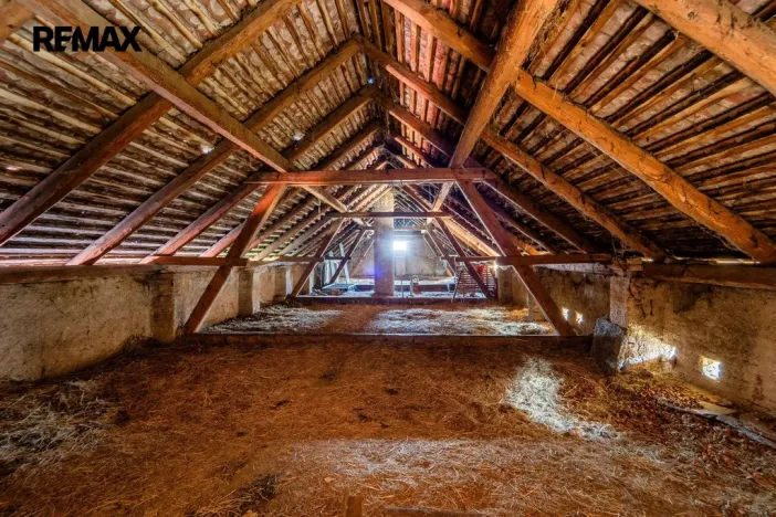 Prodej vícegeneračního domu, Kojice, 415 m2