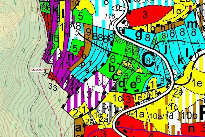 Dražba lesa, Spešov, 2318 m2
