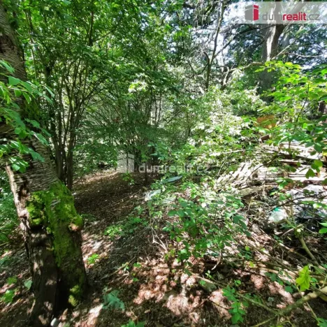 Prodej pozemku pro bydlení, Liberec - Liberec XXX-Vratislavice nad Nisou, Pod Skalkou, 5544 m2