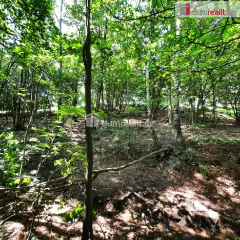 Prodej pozemku pro bydlení, Liberec - Liberec XXX-Vratislavice nad Nisou, Pod Skalkou, 5544 m2