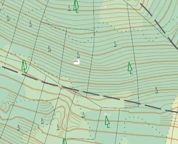 Dražba lesa, Dražovice, 2482 m2