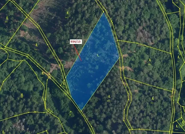 Dražba lesa, Jílové u Držkova, 6213 m2