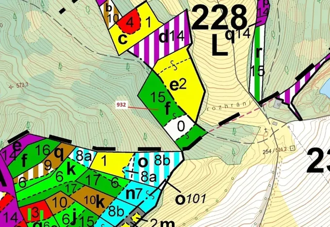 Dražba lesa, Rabí, 7006 m2