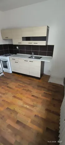 Pronájem bytu 1+1, Ostrava, Srbská, 40 m2