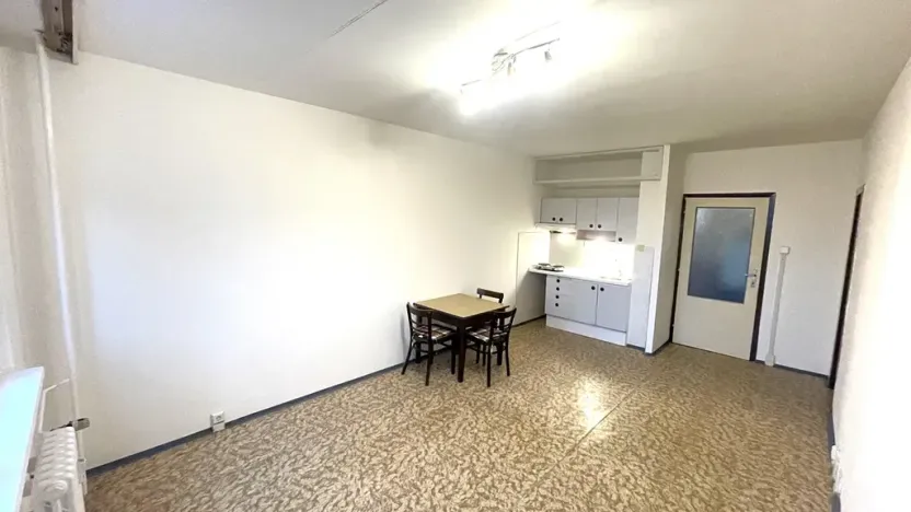 Pronájem bytu 1+kk, Praha - Chodov, Nad Opatovem, 30 m2