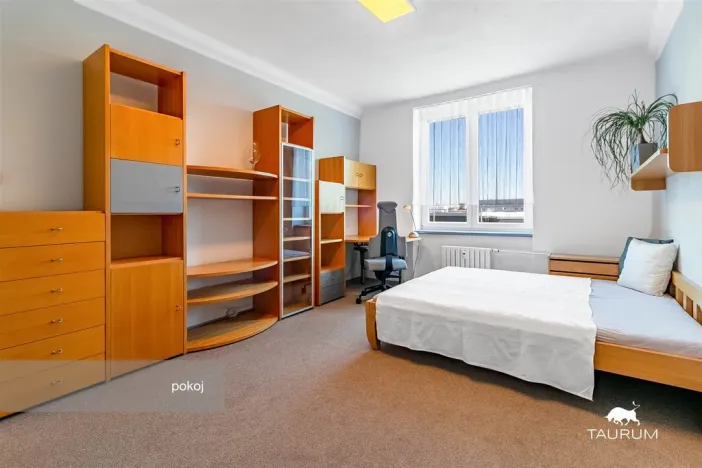 Prodej bytu 2+1, Plzeň - Východní Předměstí, Brojova, 58 m2