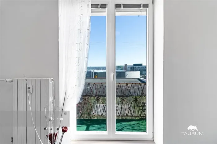 Prodej bytu 2+1, Plzeň - Východní Předměstí, Brojova, 58 m2