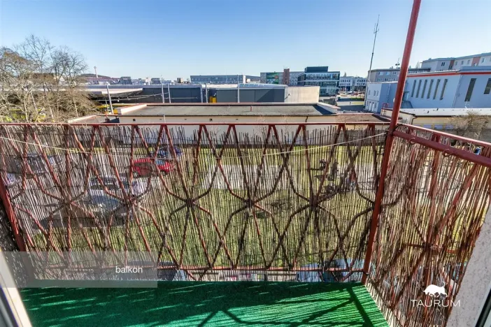 Prodej bytu 2+1, Plzeň - Východní Předměstí, Brojova, 58 m2