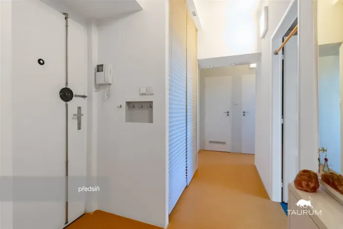 Prodej bytu 2+1, Plzeň - Východní Předměstí, Brojova, 58 m2