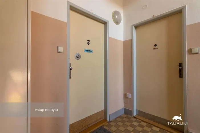 Prodej bytu 2+1, Plzeň - Východní Předměstí, Brojova, 58 m2