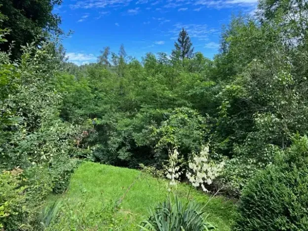 Pronájem zahrady, Křivoklát, 770 m2