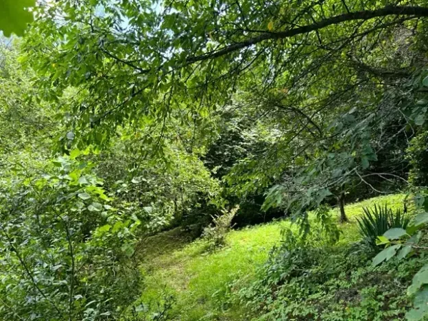 Pronájem zahrady, Křivoklát, 770 m2