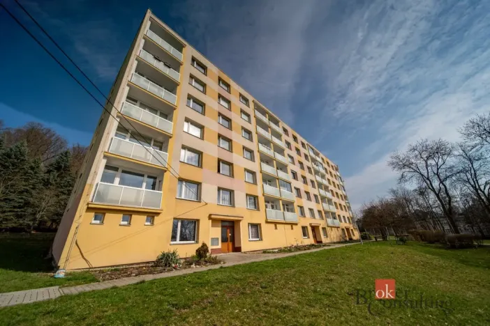 Prodej bytu 1+1, Litvínov - Horní Litvínov, Tylova, 36 m2
