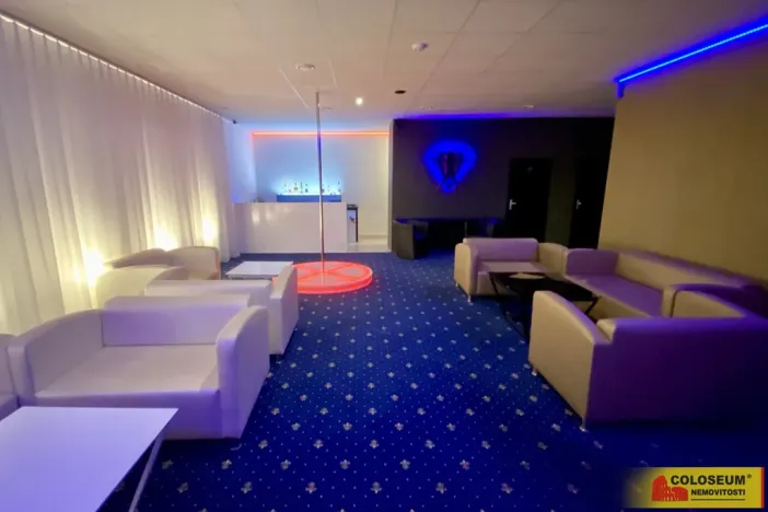 Pronájem ubytování, Hodonín, 292 m2