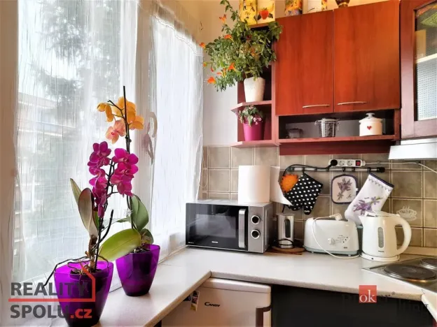 Pronájem bytu 1+1, Nové Město nad Metují, Malecí, 32 m2