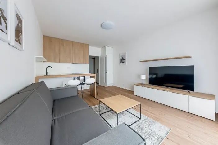 Pronájem bytu 1+kk, Praha - Karlín, Pernerova, 29 m2