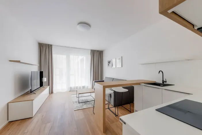 Pronájem bytu 1+kk, Praha - Karlín, Pernerova, 29 m2