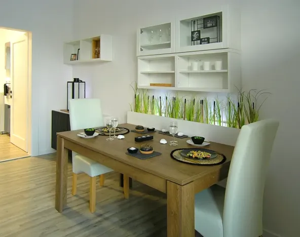 Pronájem bytu 2+kk, Ostrava, Myslbekova, 50 m2