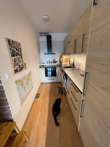 Pronájem bytu 2+kk, Praha - Jinonice, Za zámečkem, 61 m2