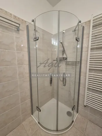 Pronájem bytu 1+kk, Brno, 50 m2