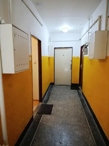 Prodej bytu 1+1, Praha - Žižkov, Žerotínova, 34 m2