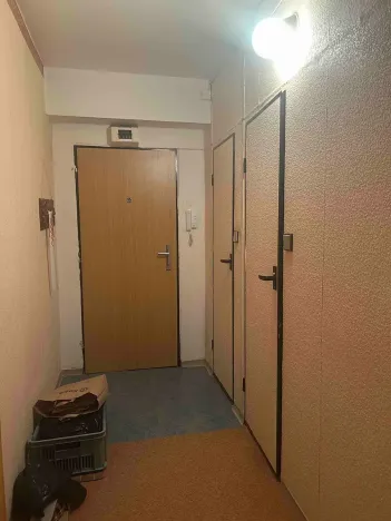 Prodej bytu 2+1, Mladá Boleslav, Palackého, 66 m2