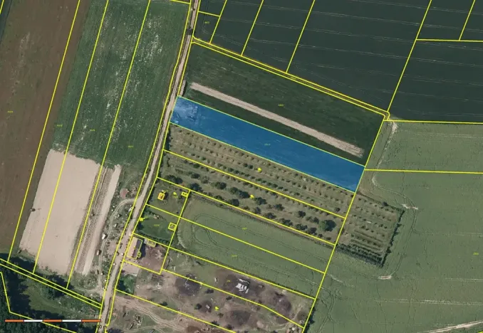 Prodej pole, Všesulov, 6065 m2