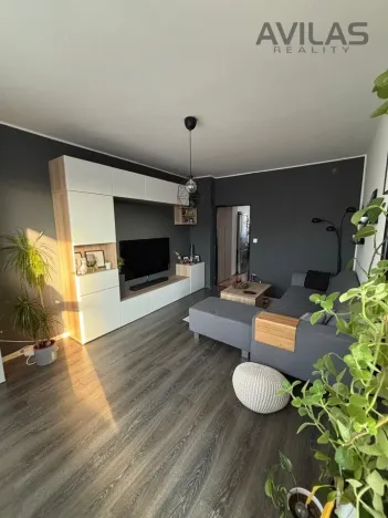 Pronájem bytu 2+1, Týnec nad Sázavou, Družstevní, 54 m2