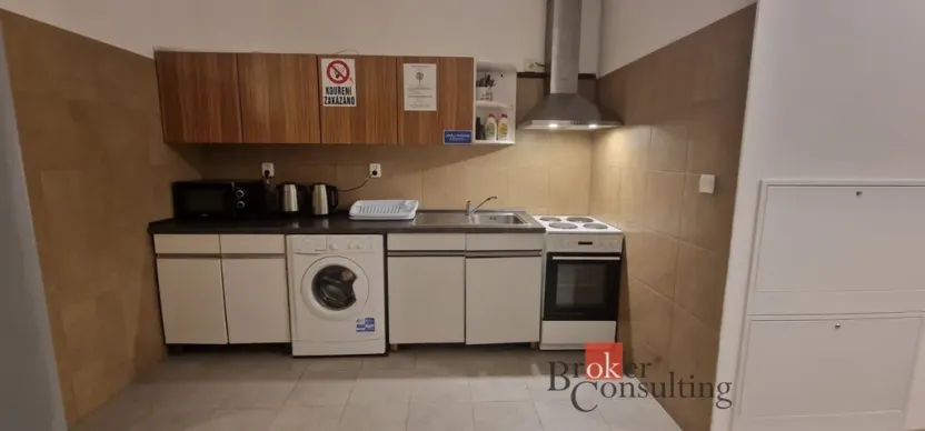 Pronájem historického objektu, Plzeň, Plovární, 150 m2